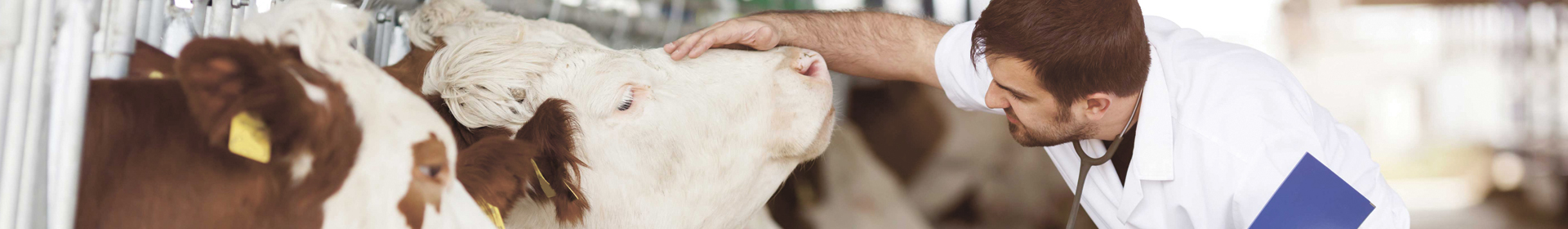 Островецкая районная ветеринарная станция